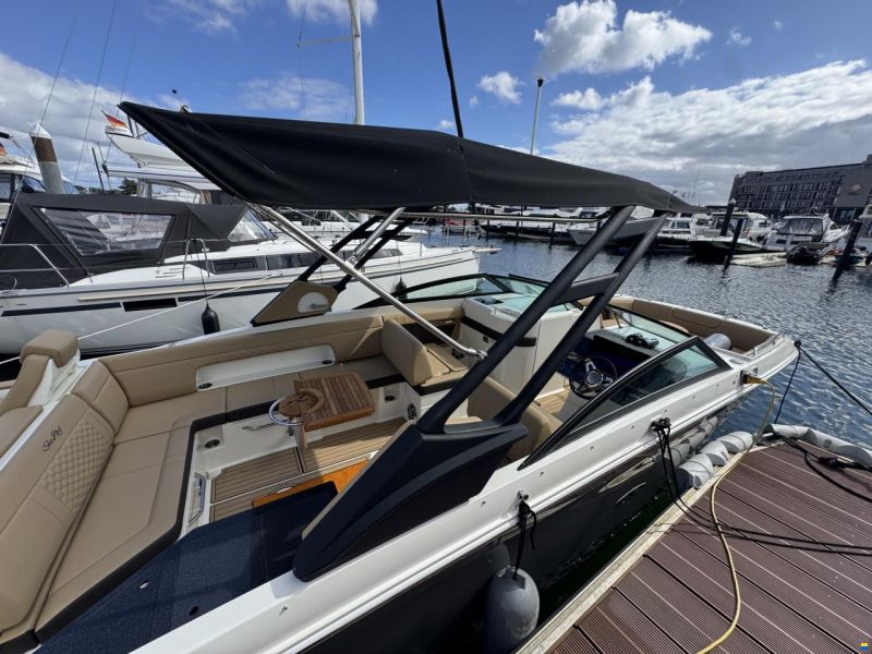 Sea Ray SDX 290