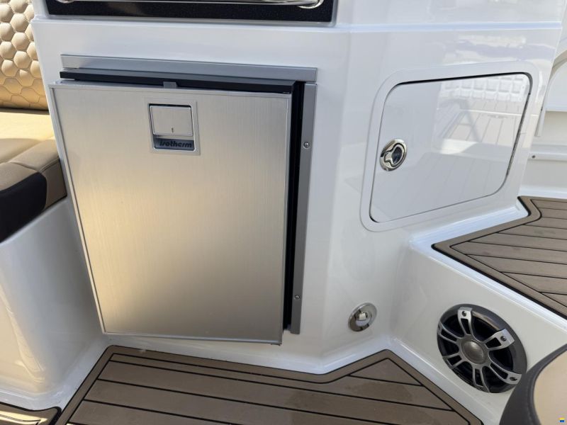 Sea Ray SDX 290