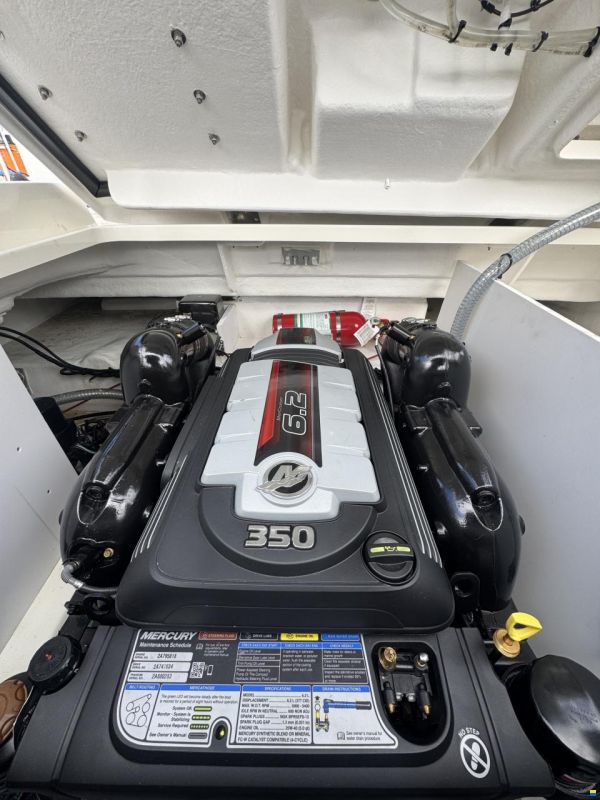 Sea Ray SDX 290