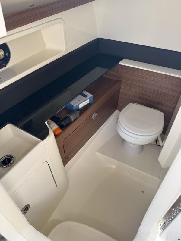 Sea Ray SDX 290