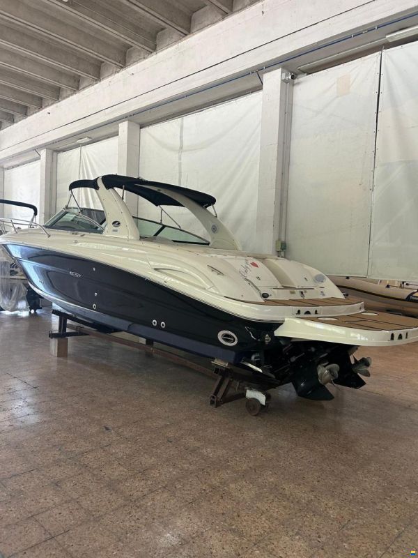 Sea Ray 290