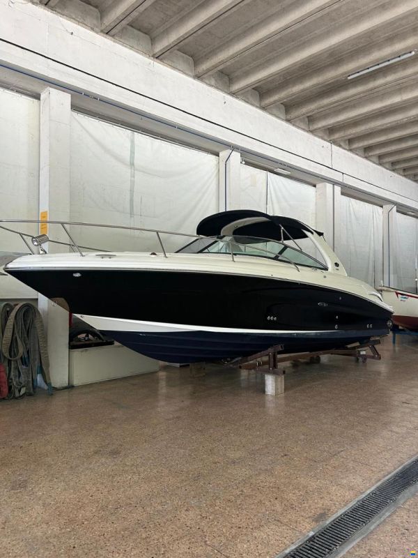 Sea Ray 290