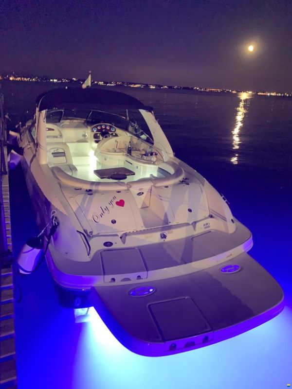Sea Ray 290