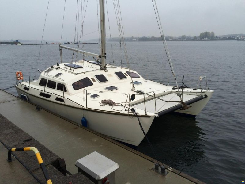 Woods Flica 35