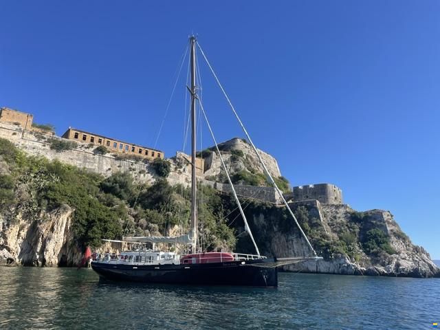 Puffin 42