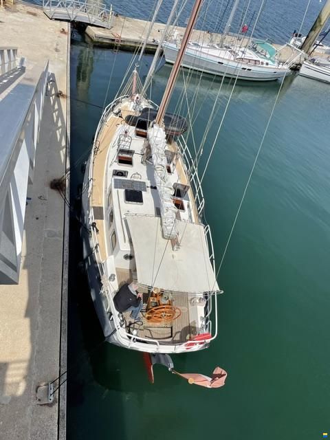 Puffin 42