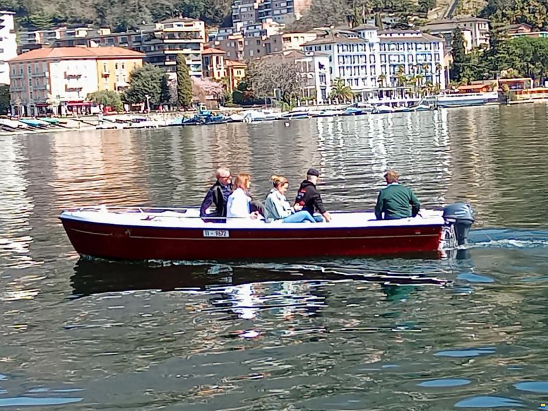 Brivio New Ascona
