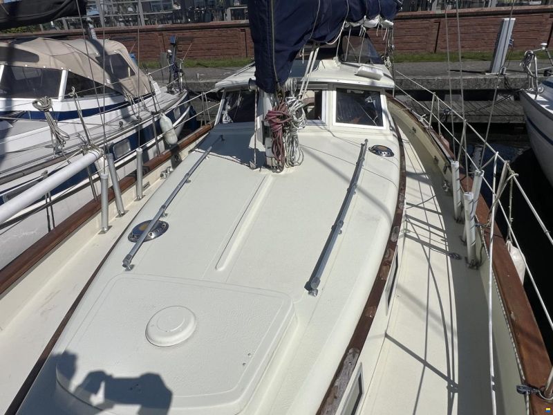 Fjord 33 MS