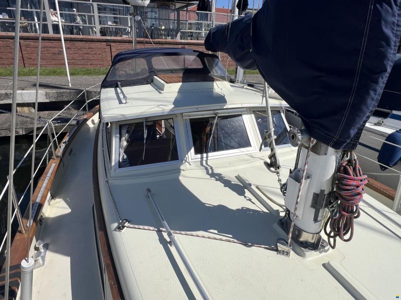 Fjord 33 MS