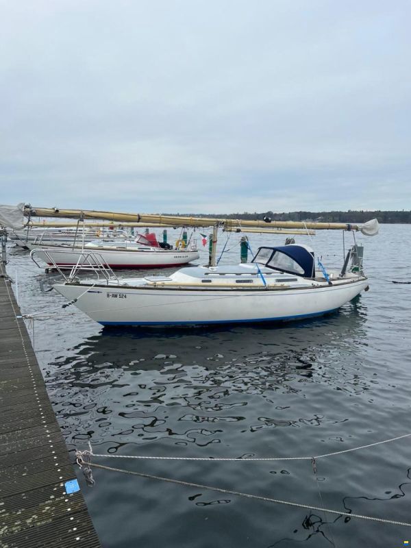 Wauquiez Centurion 32