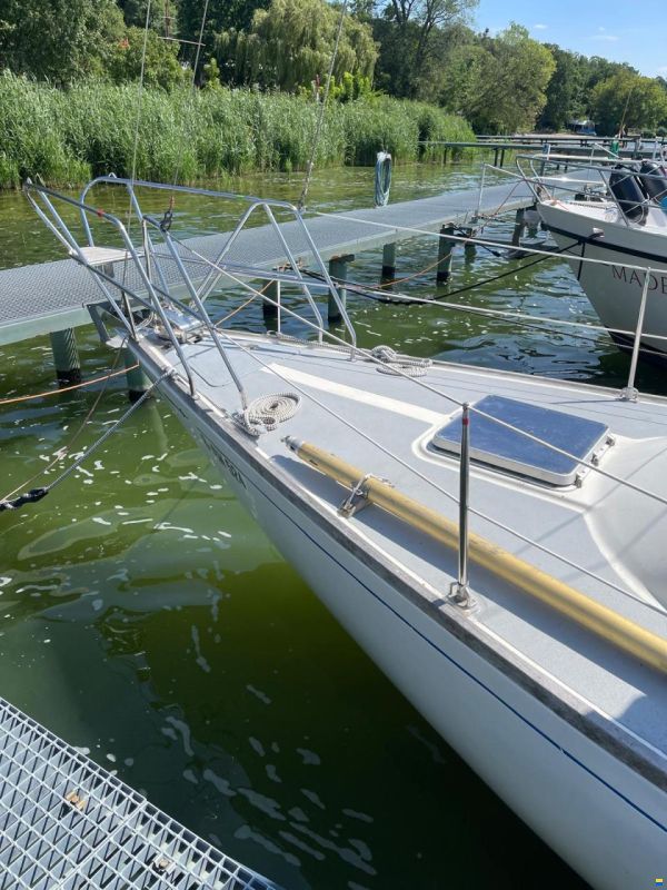 Wauquiez Centurion 32