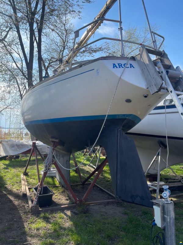 Wauquiez Centurion 32