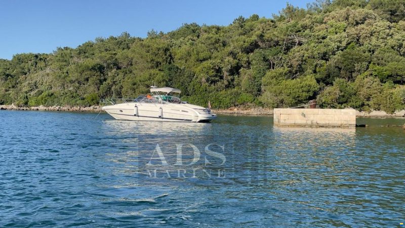 Cranchi CSL28