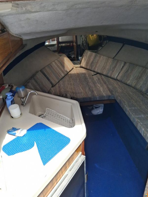 Sea Ray Semicabinato