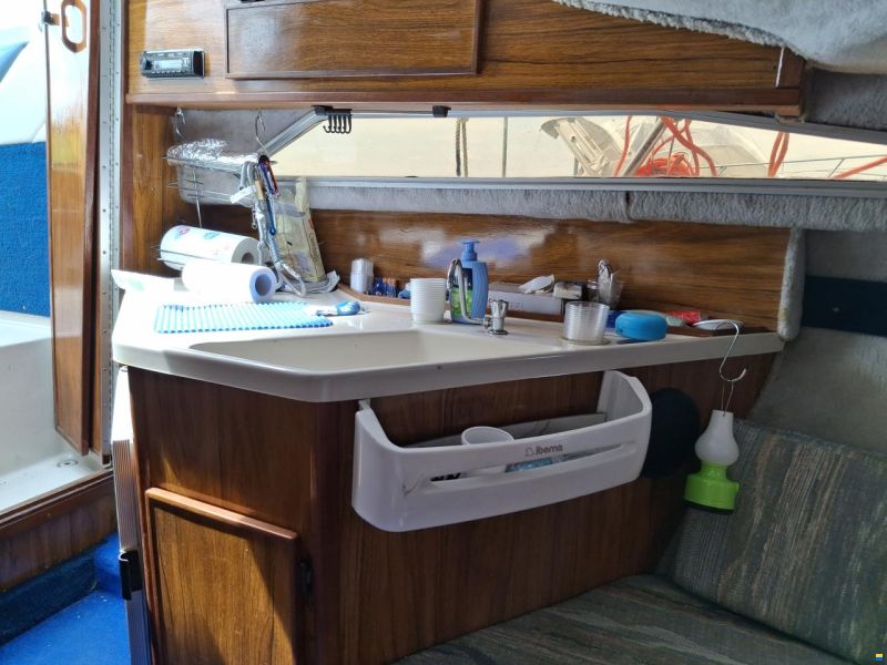 Sea Ray Semicabinato