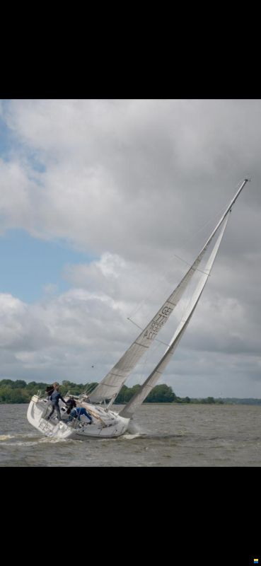 Hanse Varianta 37