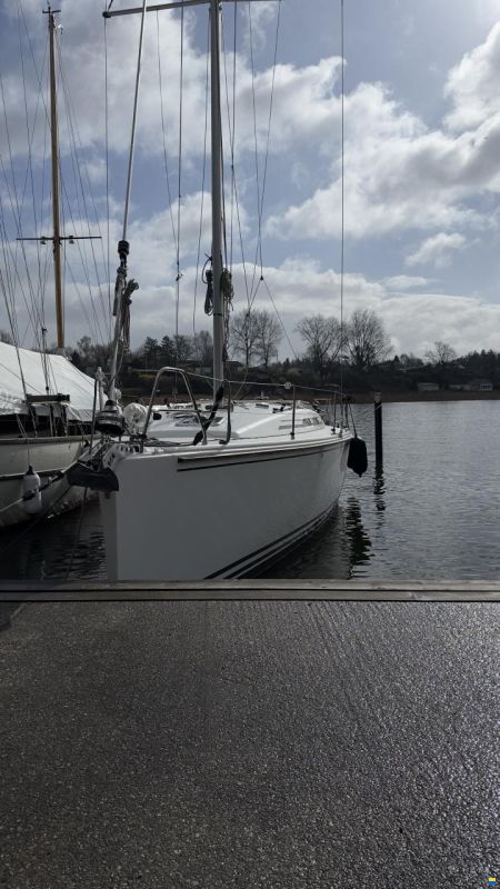 Hanse Varianta 37