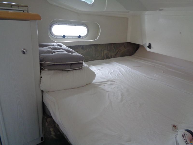 Sealine 360
