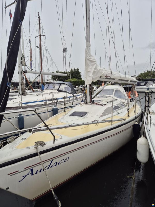 Dehler 32 Top