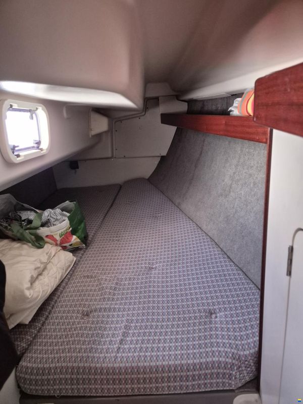 Dehler 32 Top