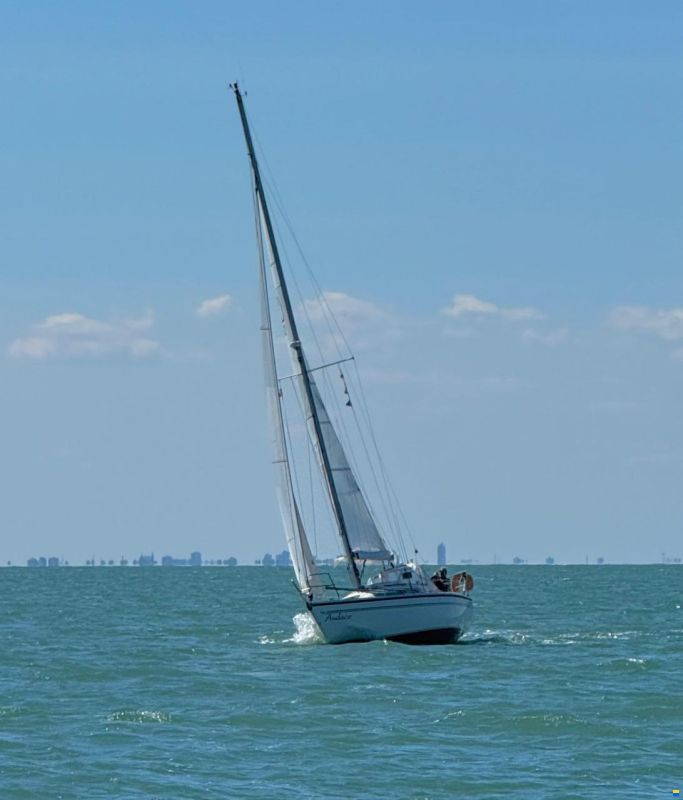 Dehler 32 Top