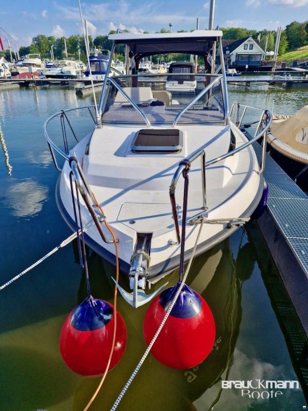 Drago 750