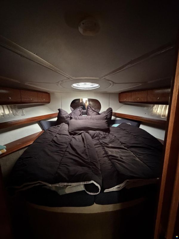 Bavaria 380 Sporttop