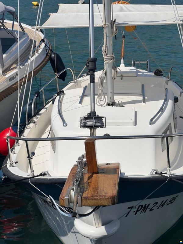 IBYC SP2