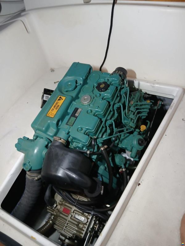 IBYC SP2