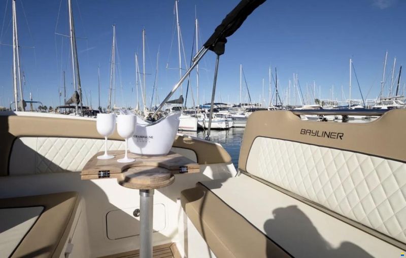 Bayliner Ciera 8