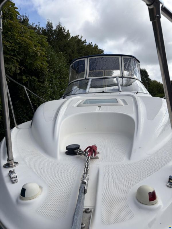 Bayliner 245 SB