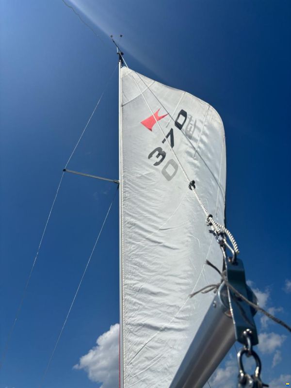 Schöchl Manta 19