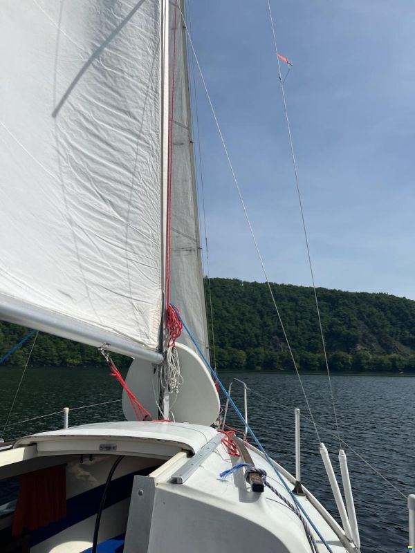 Schöchl Manta 19