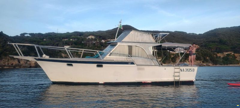 Striker Sportfisherman 36