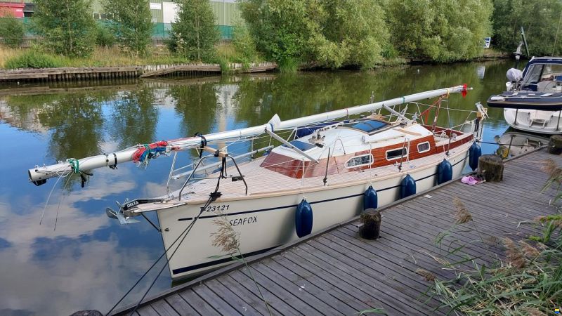 Biga 270