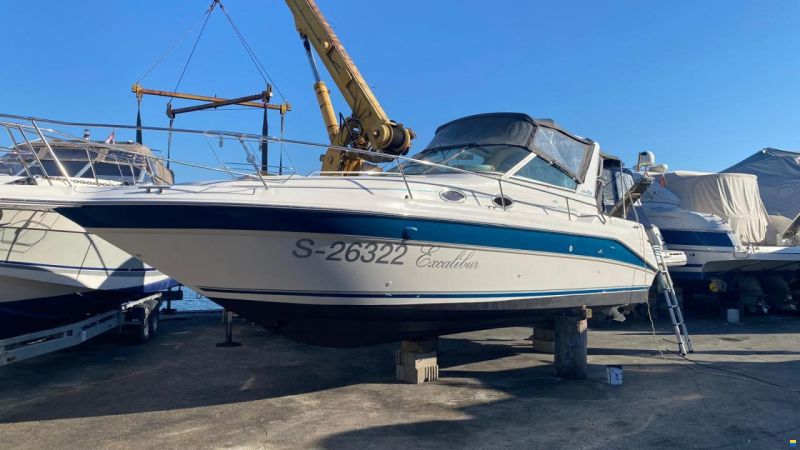 Sea Ray SeaRay Sundancer 29“