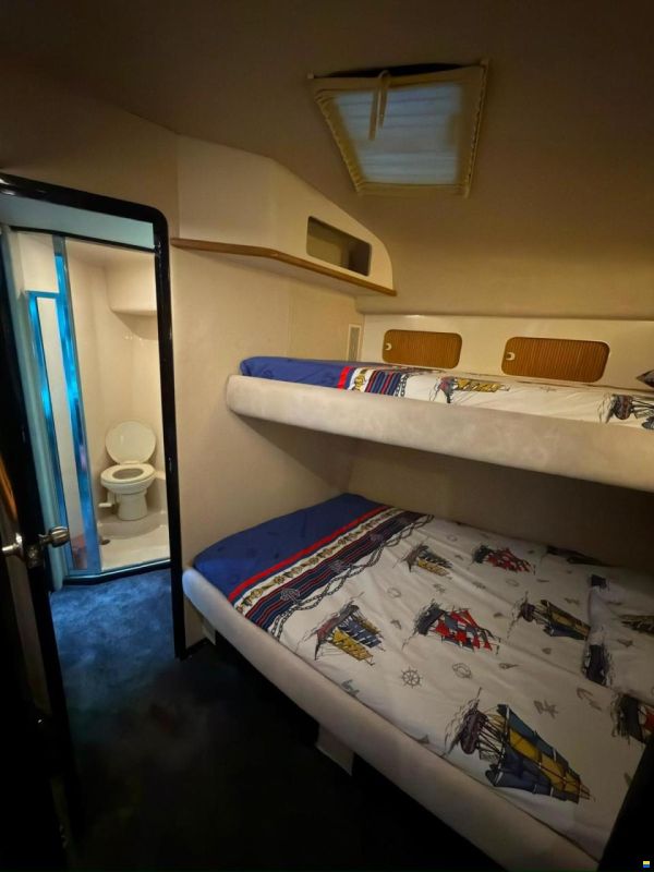 Sea Ray SUNDANCER 500