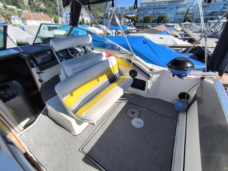Sea Ray 220