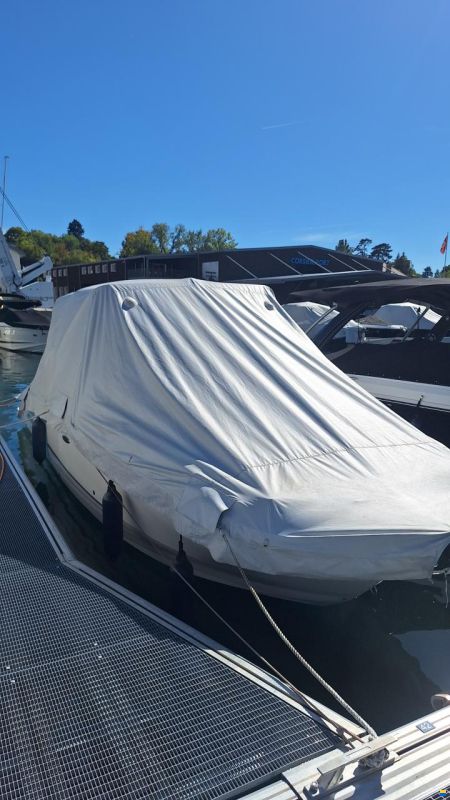 Sea Ray Sun Deck 270