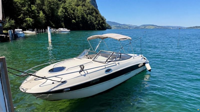 Stingray 235 CR
