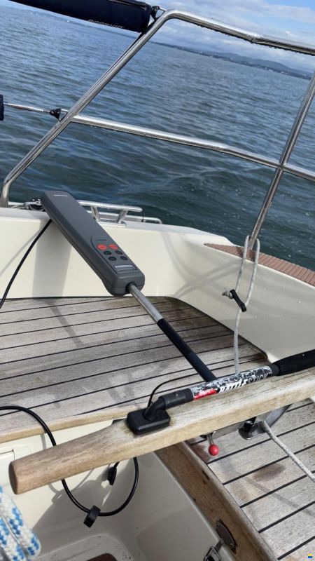Olsen 31