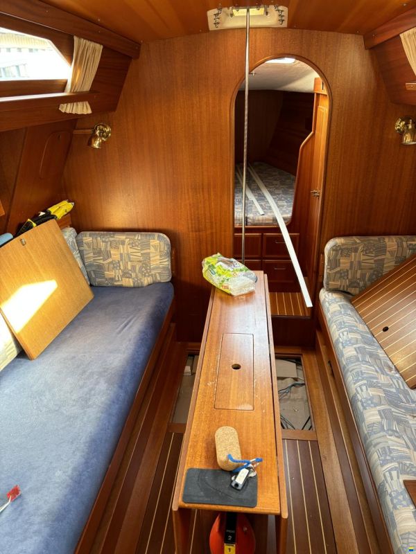 Olsen 31