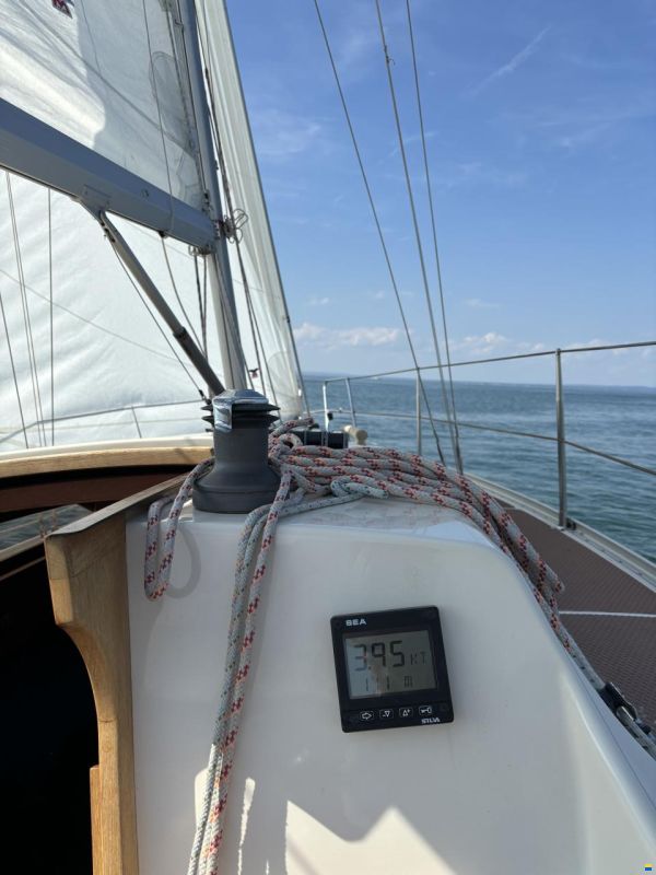 Olsen 31