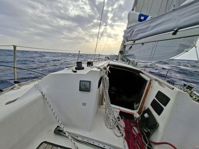 Jeanneau Sun Light 30
