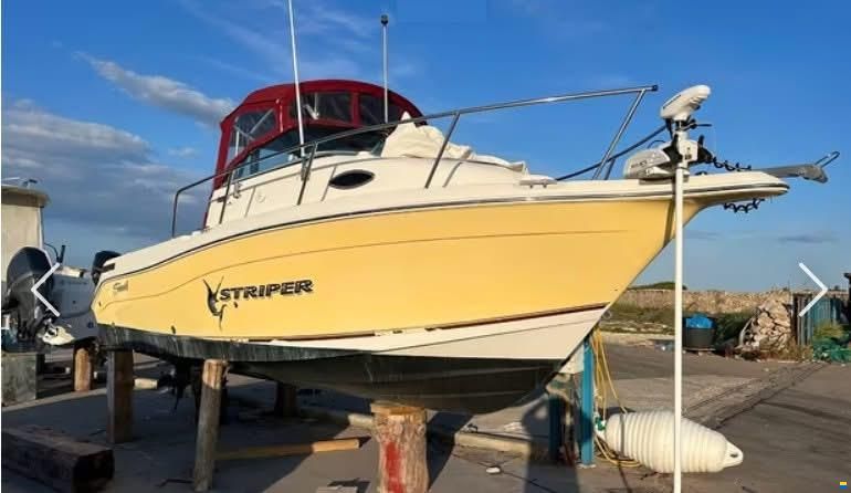 Seaswirl Striper