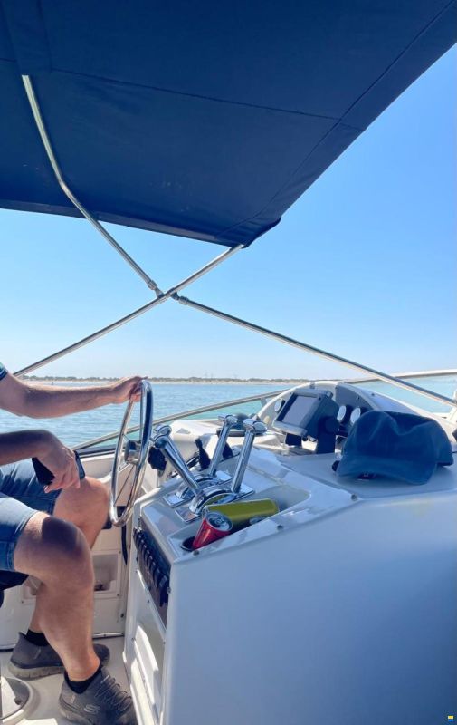 Bayliner 3988