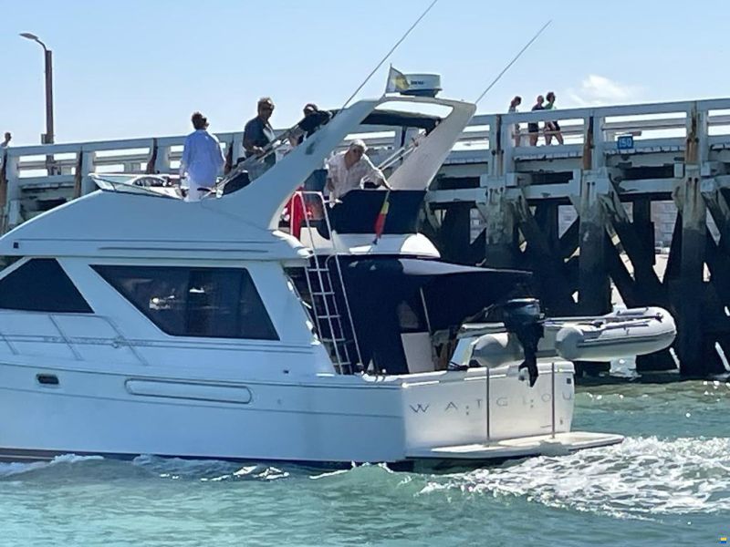 Bayliner 3988