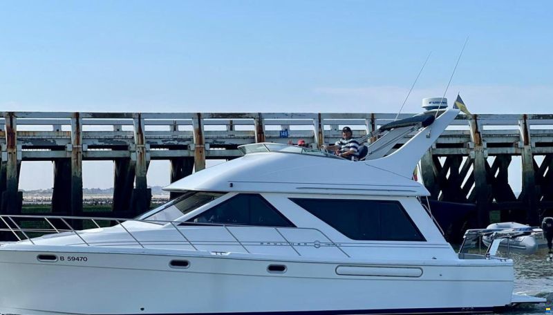 Bayliner 3988