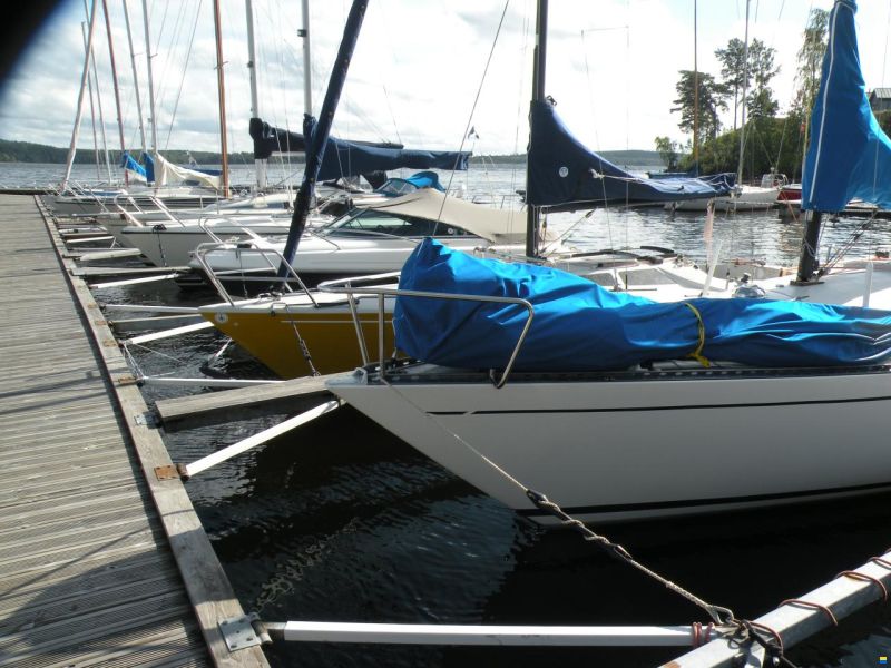 Bianca 28