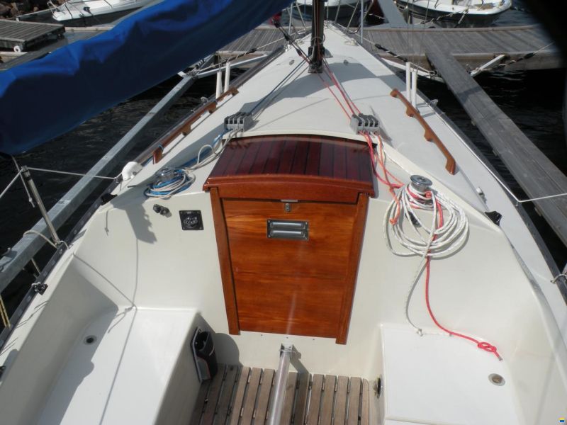 Bianca 28